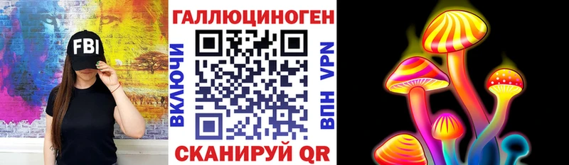 Псилоцибиновые грибы Cubensis  Купить где  Домодедово 